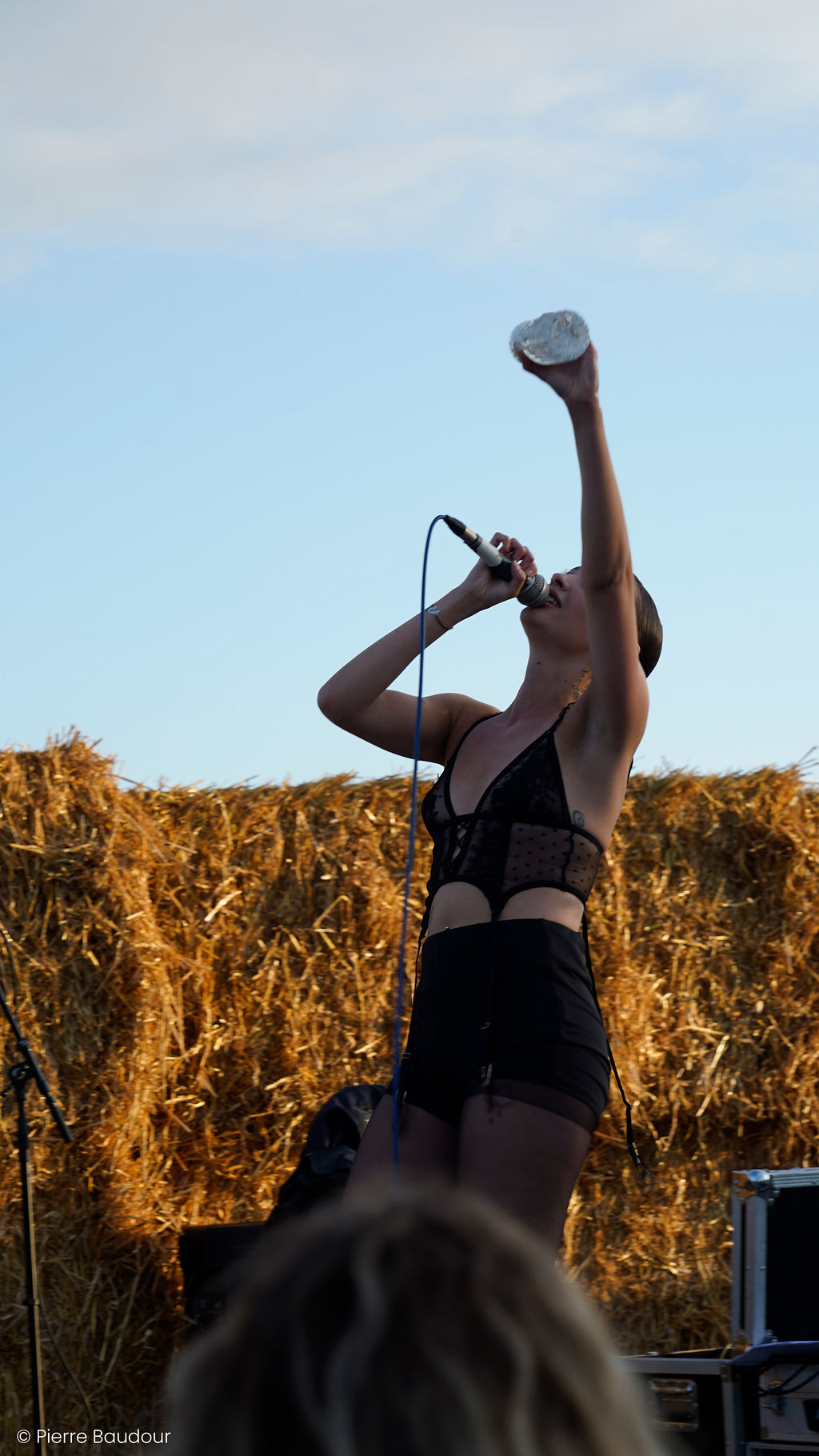 Gertrude Festival 2025